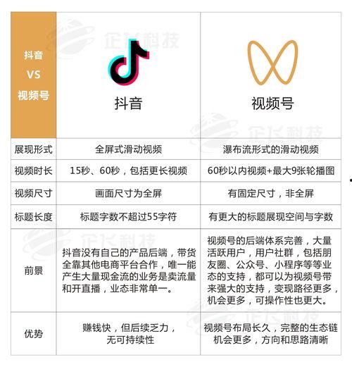 Sp贝贝在线视频,揭秘热门网络红人的魅力之旅