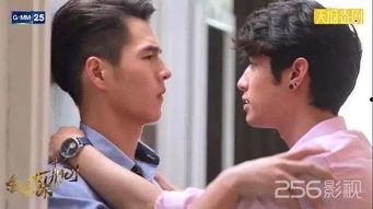 泰国金粉世家在线视频,宫廷权谋与家族恩怨的华丽演绎