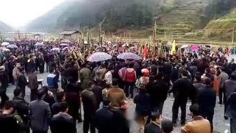 47214在线视频,揭秘神秘在线视频背后的故事