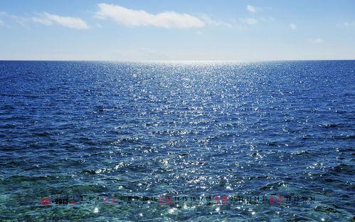 怡春阁在线视频,揭秘古代宫廷生活画卷