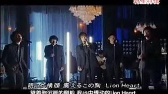 日本综艺夜间在线视频