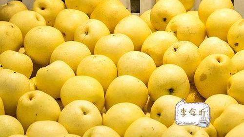 求真宫沙梨子在线视频