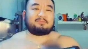 美国胖熊在线视频,揭秘北美森林中的可爱巨兽