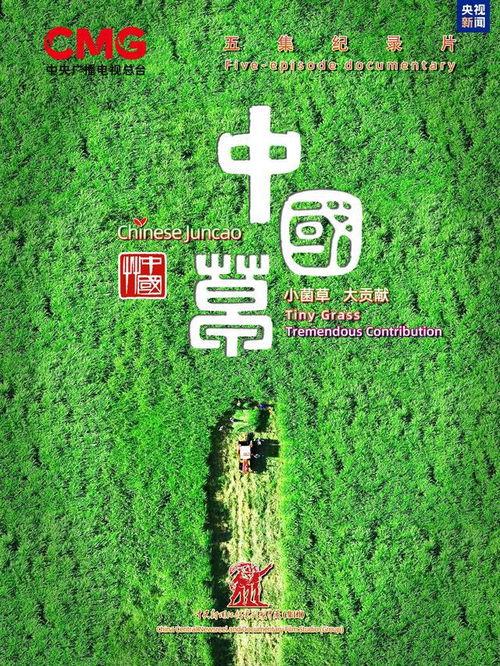 幸福草在线视频观看免费,免费在线观看，开启心灵之旅