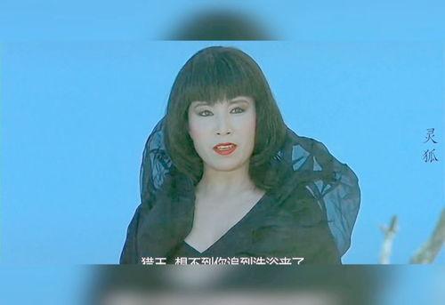 电影灵狐在线视频,揭秘神秘灵狐的奇幻之旅